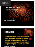 Download Hormon Dan Antagonis by Taufik Sandra Wicaksono SN59956425 doc pdf