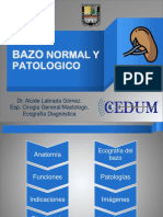 Bazo Normal y Patológico