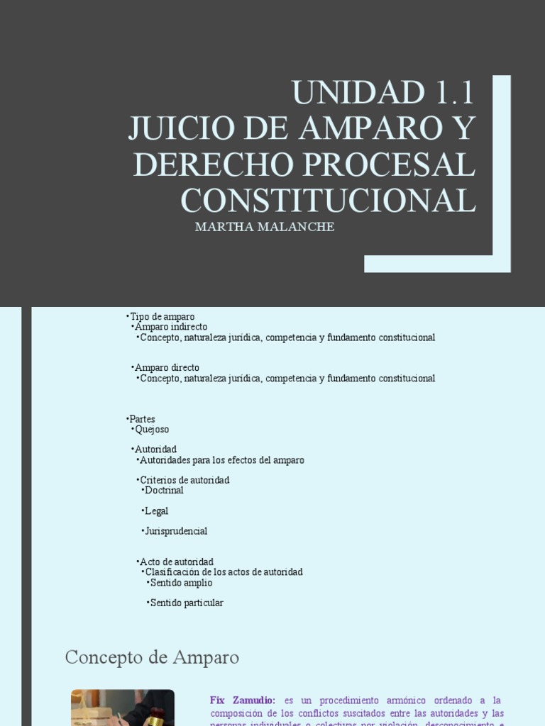 Juicio de Amparo y Derecho Procesal Constitucional | PDF | Victimologia ...