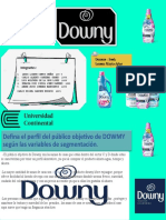 Presentación1 DOWNY