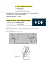 Cúspides y Relaciones Molares