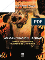 MUESTRA_manchas_jaguar