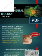 Developmental Biology in a Nutshell