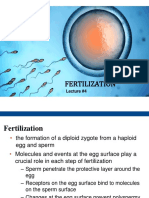 Lecture 04 Fertilization