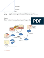 Fys 3 - Mand Reproduktion