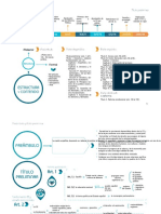 Esquema Constitución