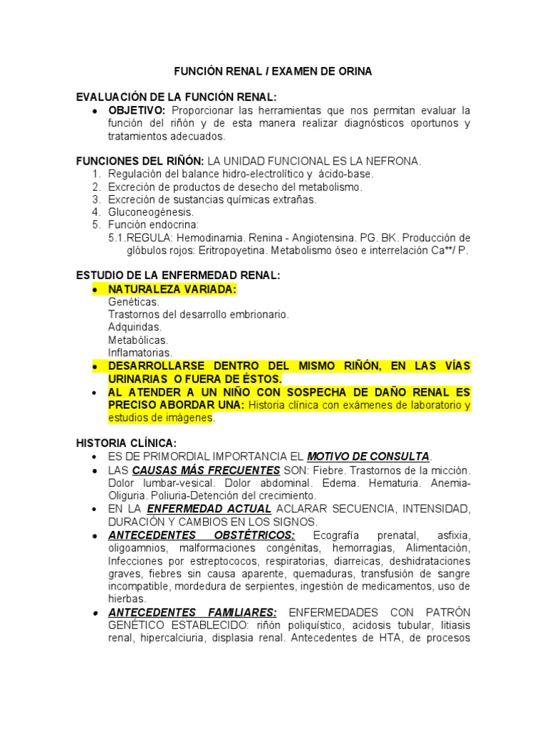 Función Renal - Examen de Orina | PDF | Riñón | Vejiga urinaria