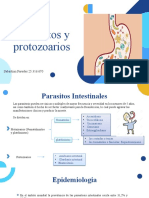 Parasitos intestinales: Helmintos y protozoarios
