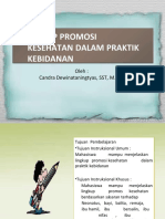 Lingkup Promosi Kesehatan Dalam Praktik