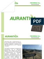 Presentación AURANTICA