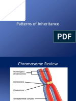 10 Patterns of Inheritance 160215185228