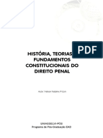 História, Teorias e Fundamentos Constitucionais Do Direito Penal