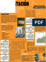 Trabajo Final - Deforestación G2