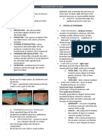 Chapter 5-Integumentary SystemPSTMLS