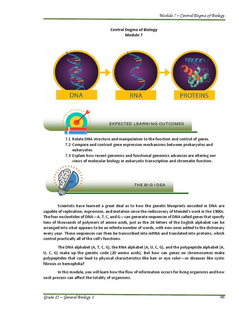 Central Dogma of Biology Explained | PDF | Gene | Messenger Rna