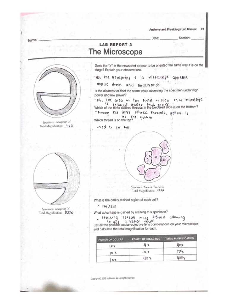 LABEX 3 Microscope - Masakayan, 2MT03 | PDF