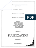 FLUIDIZACIÓN