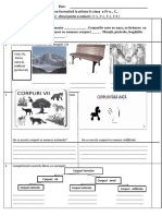 Ev - Formativa Stiinte Mod.i