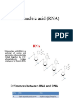 RNA