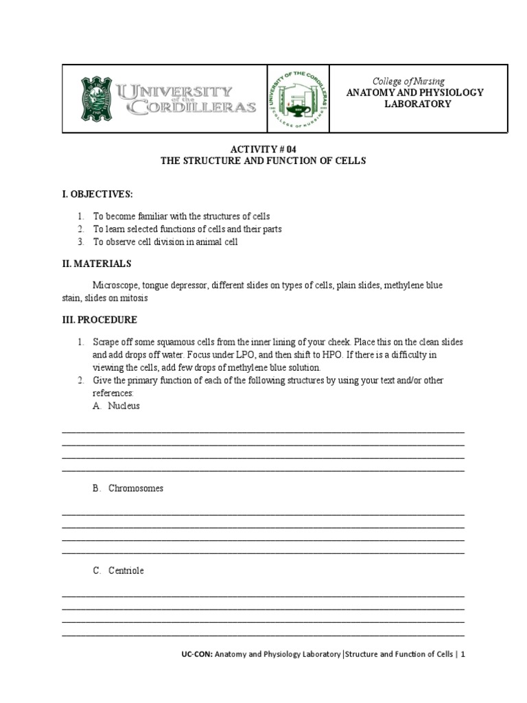 Structure and Function of Cells | PDF | Cell (Biology) | Mitosis