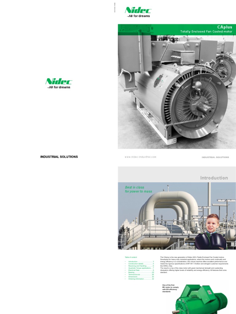 CAplus MV Motor: IE4 Efficiency Standards | PDF | Electric Motor | Epoxy