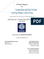 Abhigyan Borah 6th Semester Project Report - 2