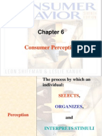 Consumer Perception Process and Elements