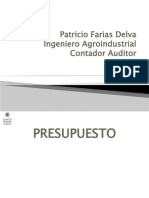 Presupuesto 1