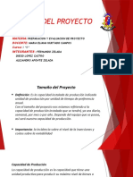 Tamaño Del Proyecto