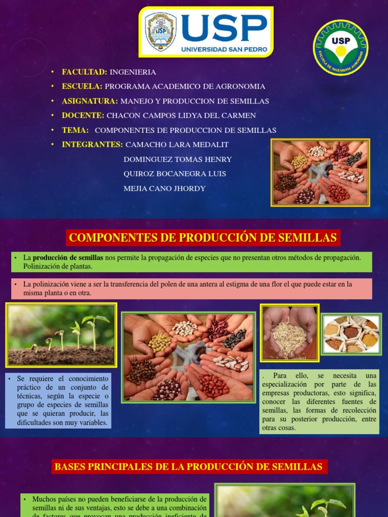Componentes en Producción de Semillas | PDF | Agricultura | Semilla