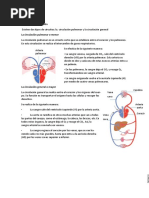 Los Tipos de Circulación