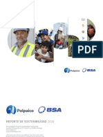 Reporte Sostenibilidad Polpaico BSA 2020
