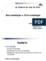 Seminario_Biorremedia_Fitorremedia