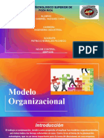 Modelo Organizacional