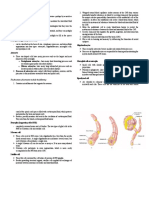 Neuroglia Functions and Types