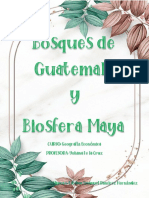 Bosques de Guatemala y Biosfera Maya