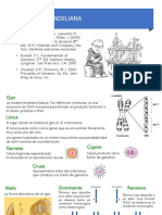 03-Mendel I - 21-1