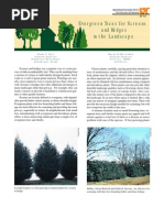 Download Evergreen Trees for Screens and Hedges in the Landscape Extremlym by Extremlym Vertebra SN59966658 doc pdf