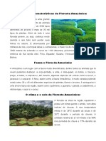 Principais Características Da Floresta Amazônica