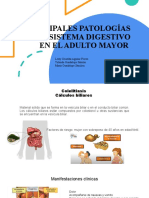 Patologías Del Sistema Digestivo