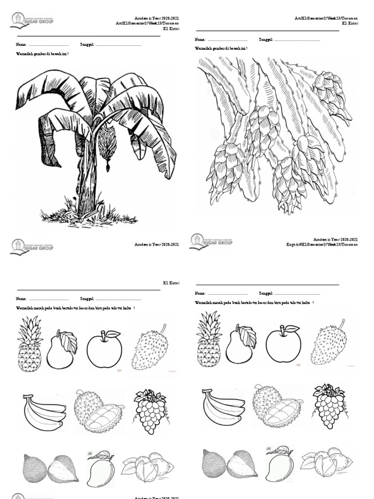 Worksheet tanaman week 23 pdf
