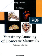 Veterinary Anatomy of Domestic Mammals 3rd Edition