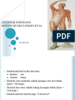 Anatomi Fisiologi Musculosceletal