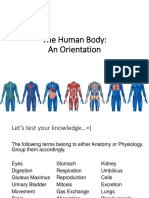 The Human Body Orientation