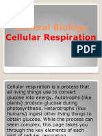 Cellular Respirationالتنفس الخلوي