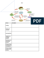 The-Nitrogen-Cycle-WS