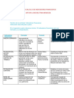 Actividad Indicadores Financieros