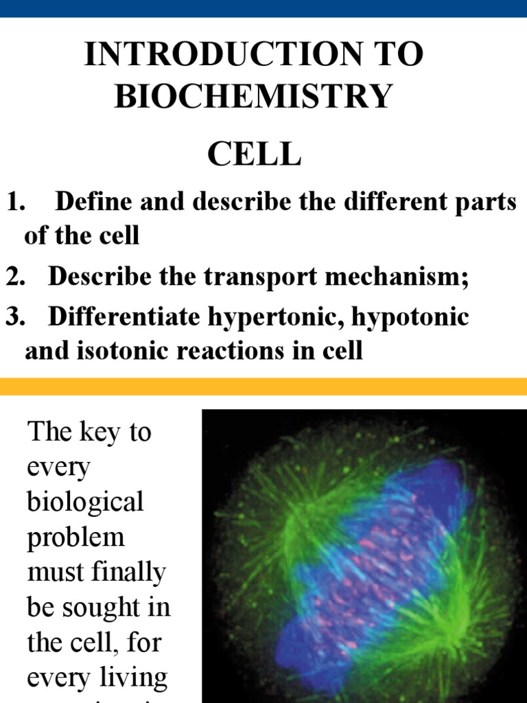 Cell The Fundamental Unit of Life | PDF | Cell Nucleus | Endoplasmic ...