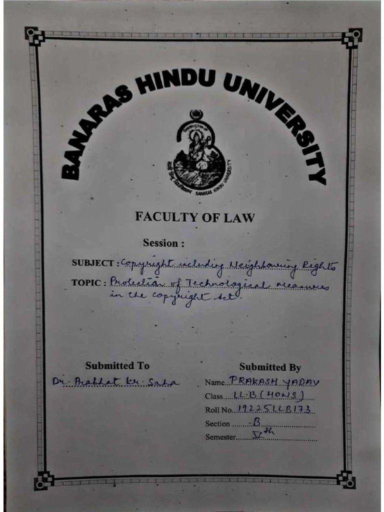 Copyright Including Neighbouring Rights PDF