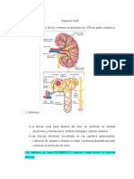 Irrigacion Renal